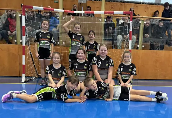 Turnaj minižactva v Napajedlích