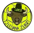 Lesana Zubří B
